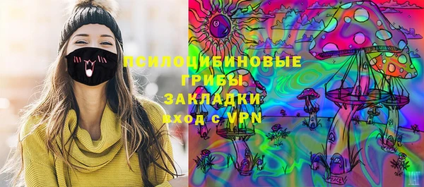 сатива Гусев