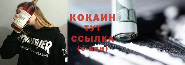 дурь Дмитриев