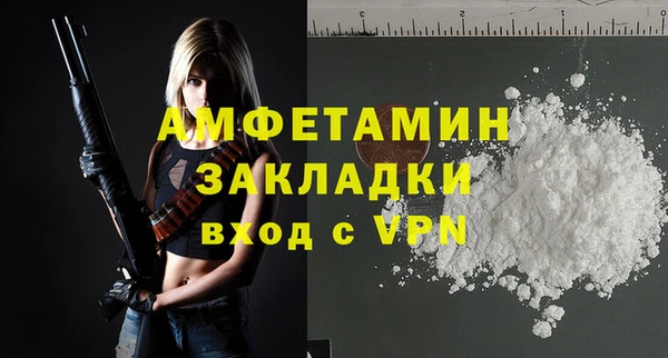 сатива Гусев