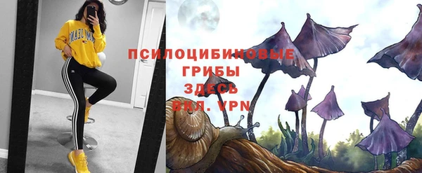 гашишное масло Гусь-Хрустальный