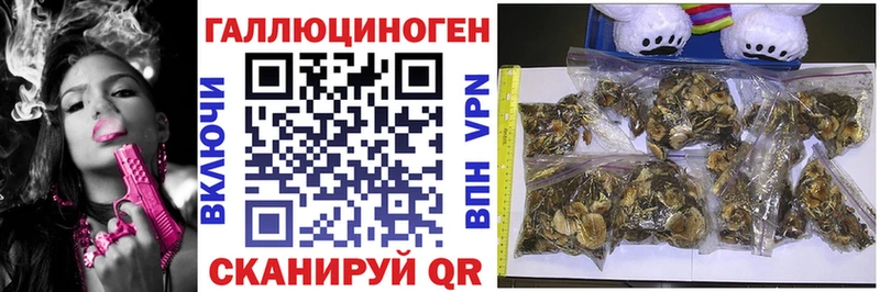Псилоцибиновые грибы Magic Shrooms  как найти закладки  Обоянь 