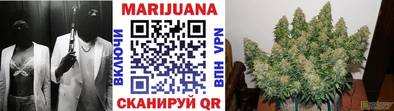 Канабис SATIVA & INDICA  Обоянь 